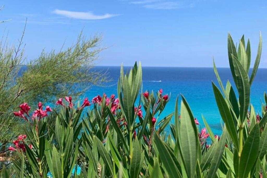 Boutique Apartment With Beach Within Walking Distance, Near Tropea Parghelia Bagian luar foto